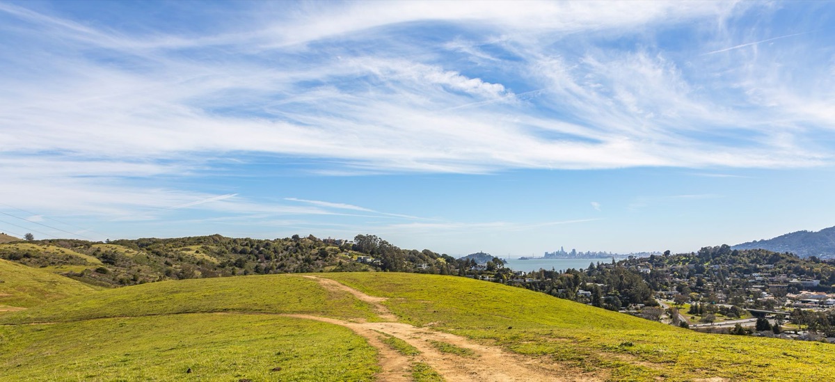 Winding path San Francisco