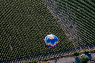 Napa vs Sonoma: Find Your Perfect Wine Country Match Today