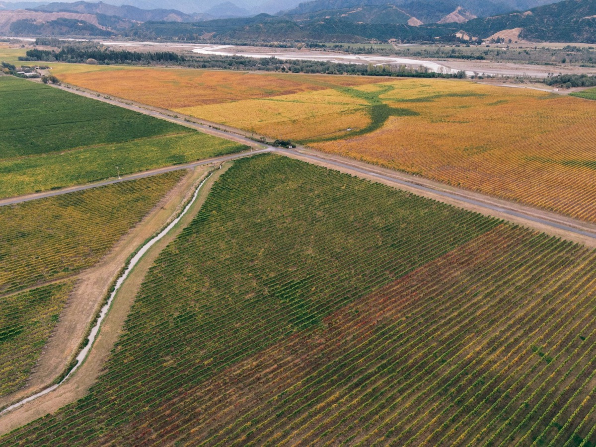 Sonoma Valley vineyard with wooden tables and wine barrels