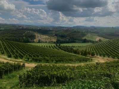 Vignoble : Napa ou Sonoma, quel voyage viticole pour vous ?