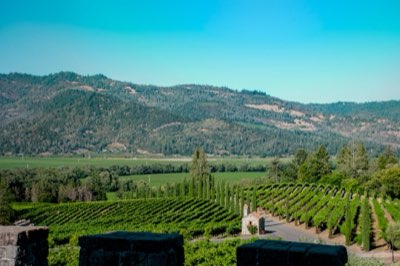 Wijnvakantie 2026: Napa of Sonoma, Wat Past Bij U?