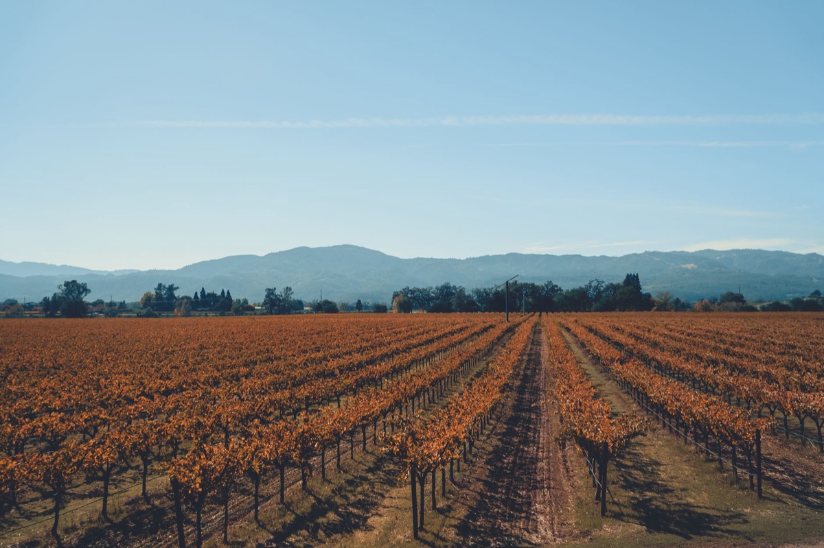 Napa Valley winery exterior