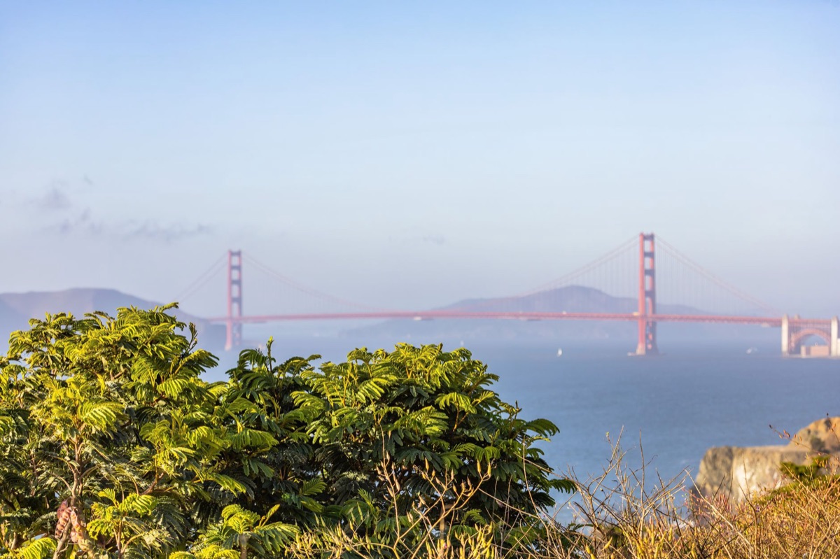 Vue de la Golden Gate Bridge depuis la Bay Area