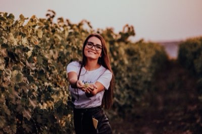 Napa Valley: El cuerpo del Cabernet y su suelo volcánico único