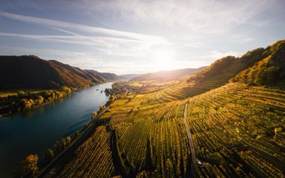 Napa Valley: 150 anni di storia nel cuore del Cabernet Sauvignon