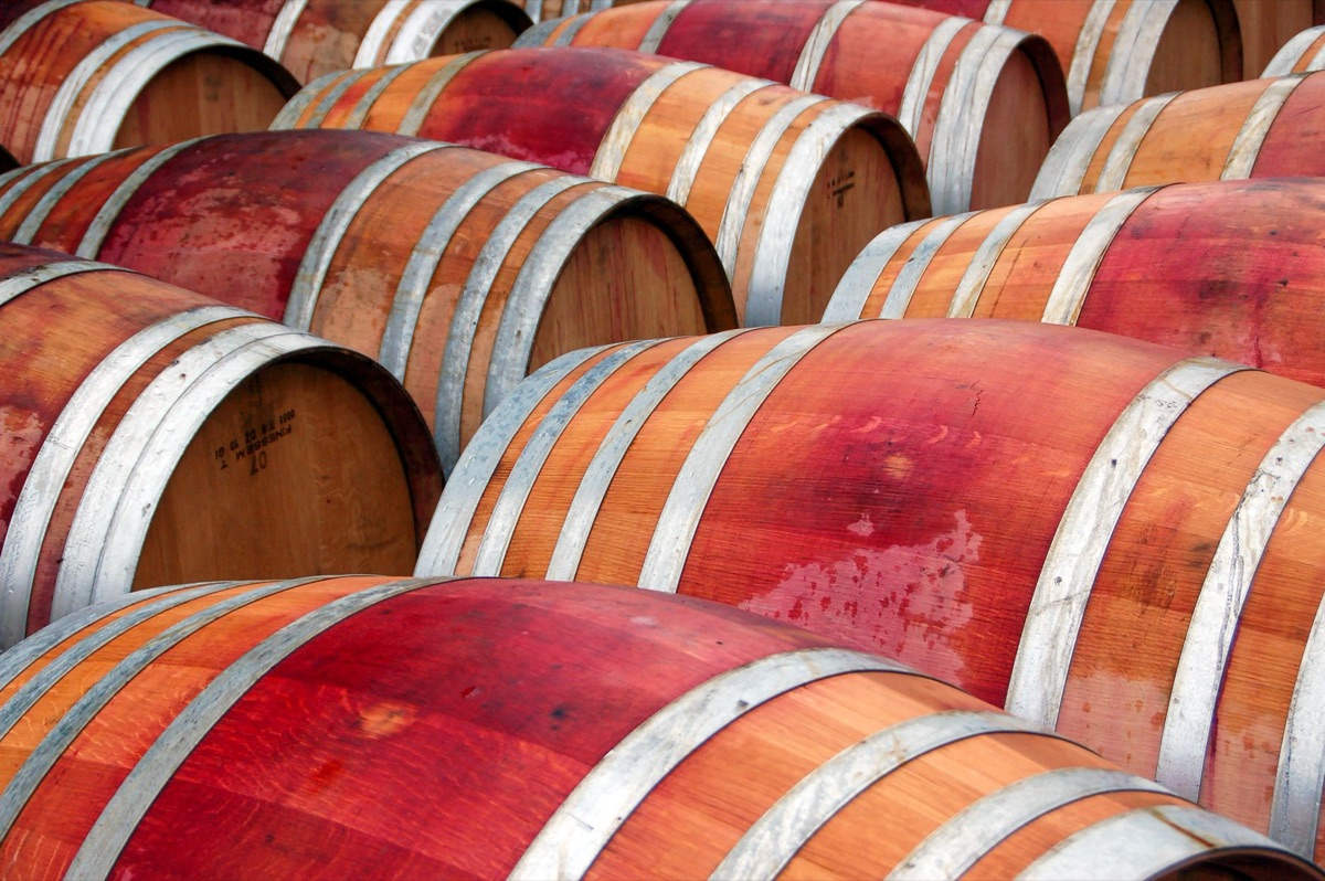 Vino in barile con piante