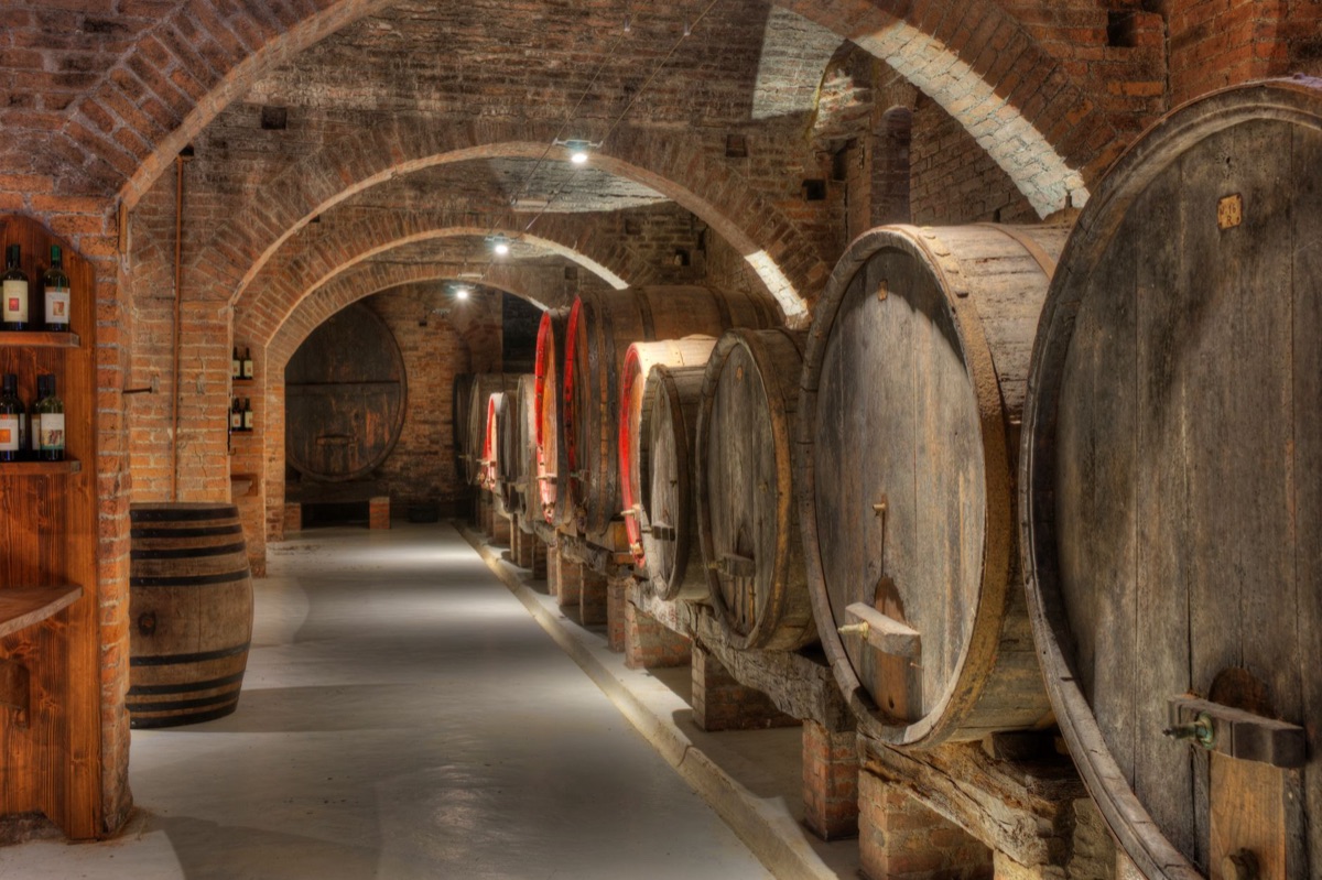 Antico vigneto