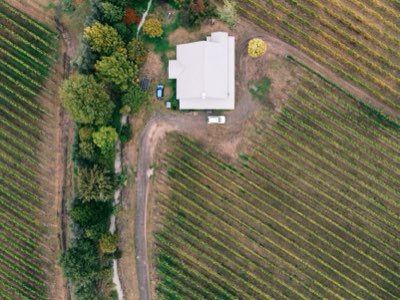 Napa Valley: Descubra o Terroir e a História dos Grandes Vinhos