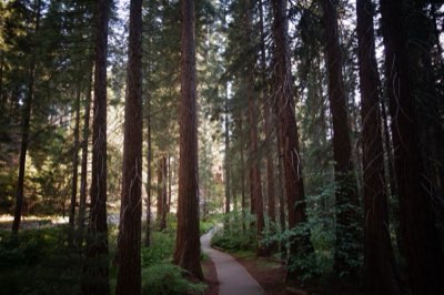 Yosemite Guide: Plan Your Perfect Trip in 50-60 Chars