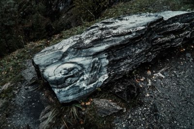 Visita Yosemite: Cómo elegir el itinerario perfecto para su viaje