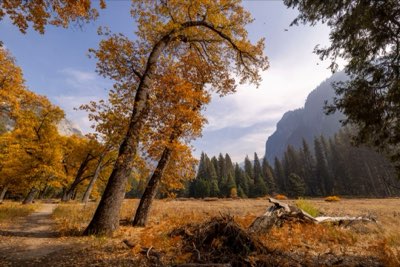 Yosemite : Guide essentiel pour une escapade réussie de 1 jour