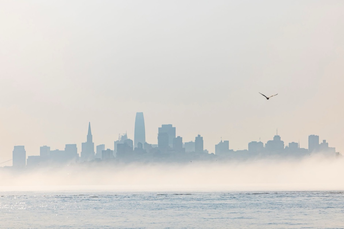 san francisco fog morning