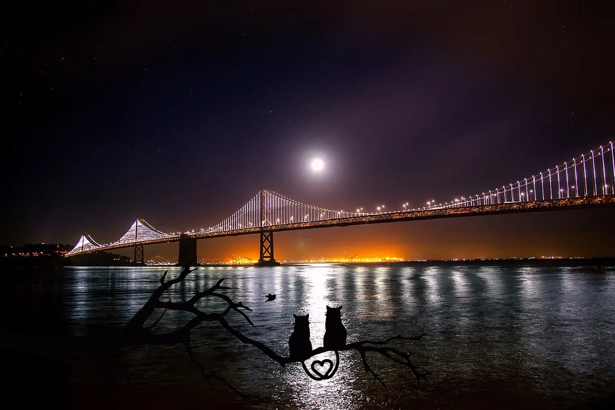san francisco, oakland, bay bridge, water, reflections, moon, moonlight, port, night, eve, dark, landmark, historical, architecture, lovely, hdr, cats, mood, at