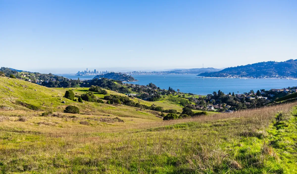 Beautiful view of San Francisco Bay from Marin County with city skyline and rolling hills.