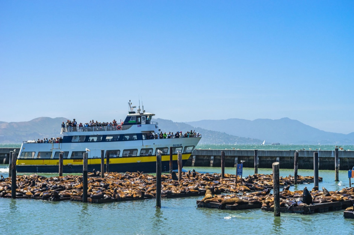 Alcatraz Ferry Terminal