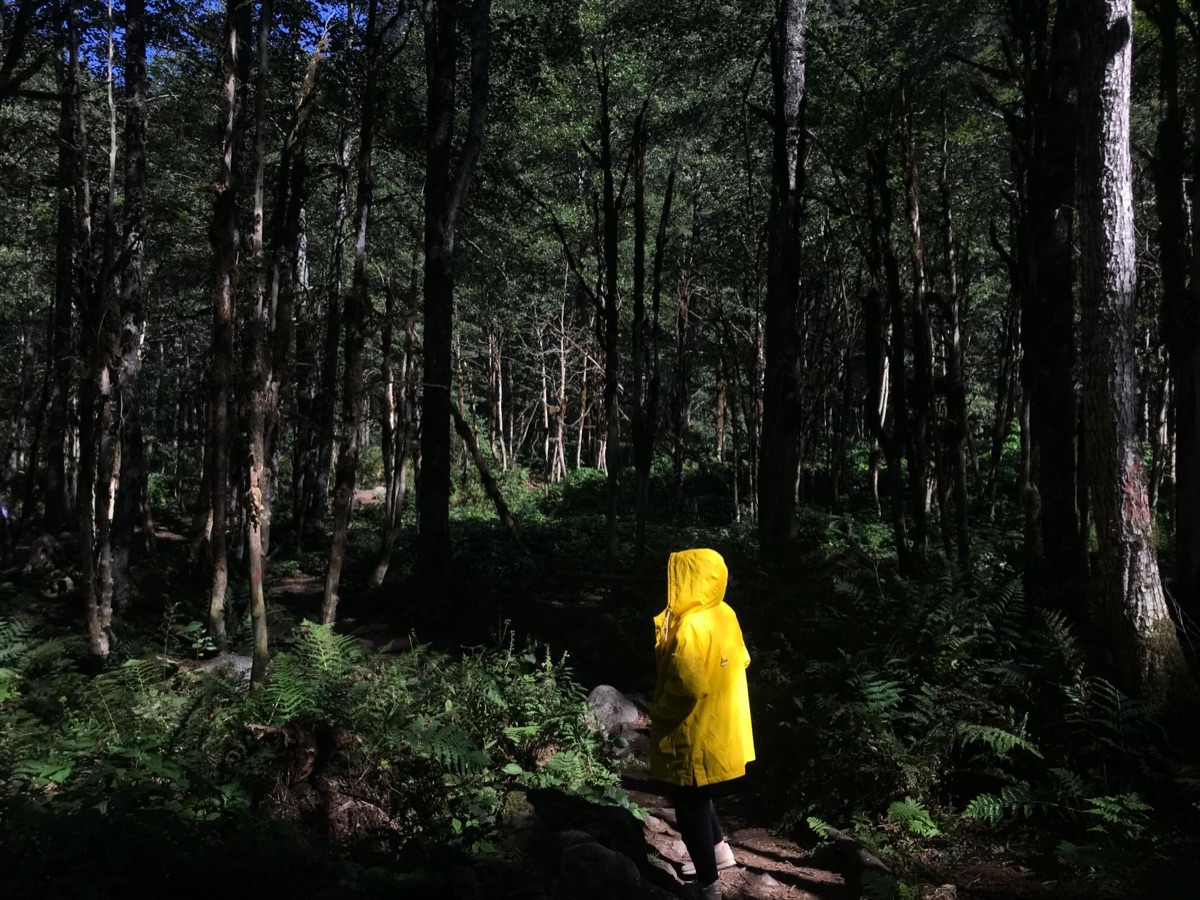 산프란시스코 여름 복장 팁